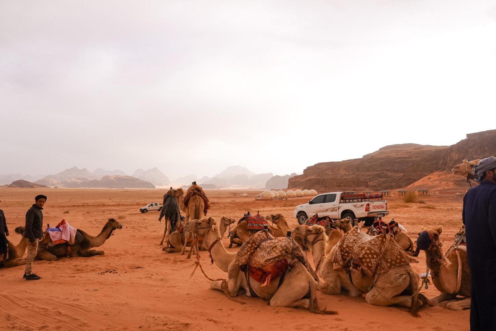 Shaheen Camp Wadi Rum Bagian luar foto