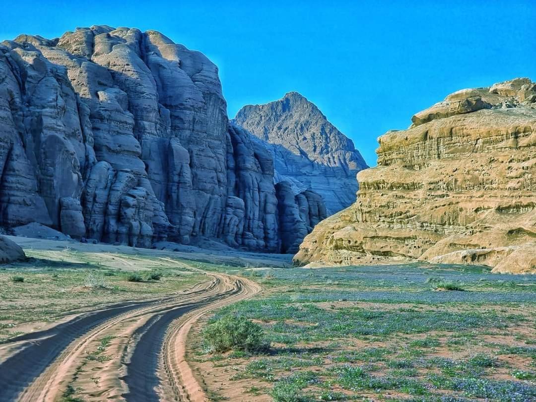 Shaheen Camp Wadi Rum Bagian luar foto